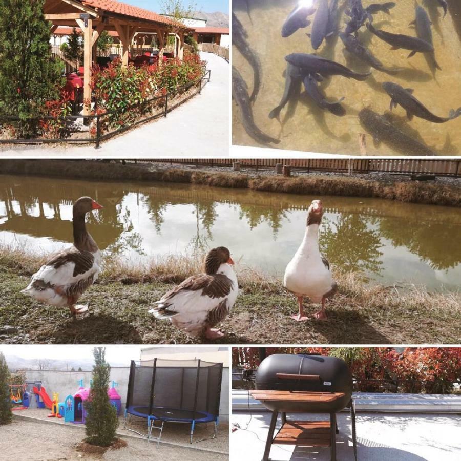 Hotel&Spamontenegro Rivijera Veles Exterior photo